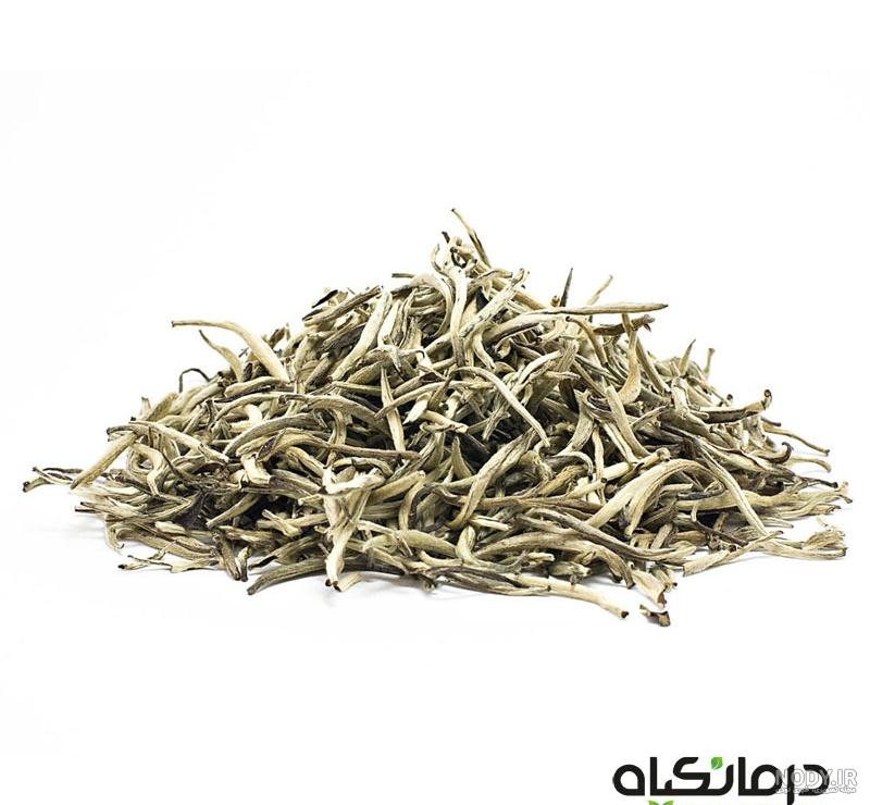 چای سفید ؛ آشنایی با 5 خاصیت برجسته آن + مضرات و طرز تهیه | کوئیک فیت چای سفید ؛ آشنایی با 5 خاصیت برجسته آن + مضرات و طرز تهیه | کوئیک فیت