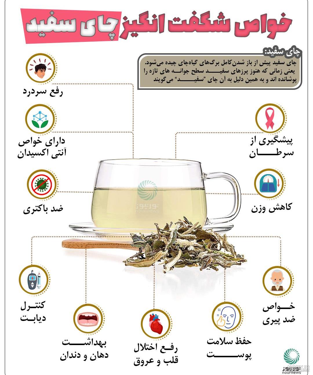 چای سفید چیست و هرآنچه که باید درمورد آن و تهیه این چای بدانیم؟ - کافی مافی چای سفید چیست و هرآنچه که باید درمورد آن و تهیه این چای بدانیم؟ - کافی مافی