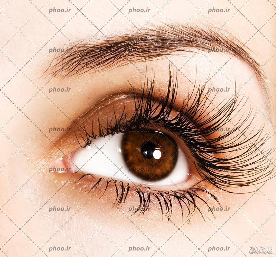 چشم قهوه ای با مژه های بلند زیبا از نمای نزدیک ماکرو 1566572 چشم قهوه ای با مژه های بلند زیبا از نمای نزدیک ماکرو 1566572