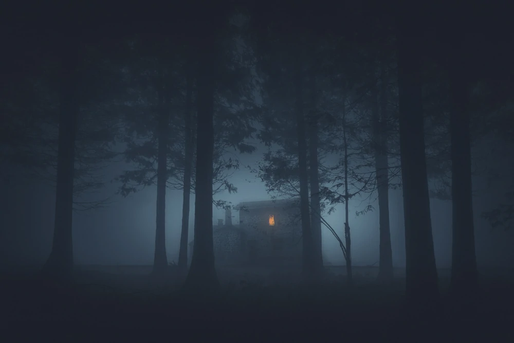 جنگل👻 دارک🕯️ ترسناک - عکس ویسگون جنگل👻 دارک🕯️ ترسناک - عکس ویسگون