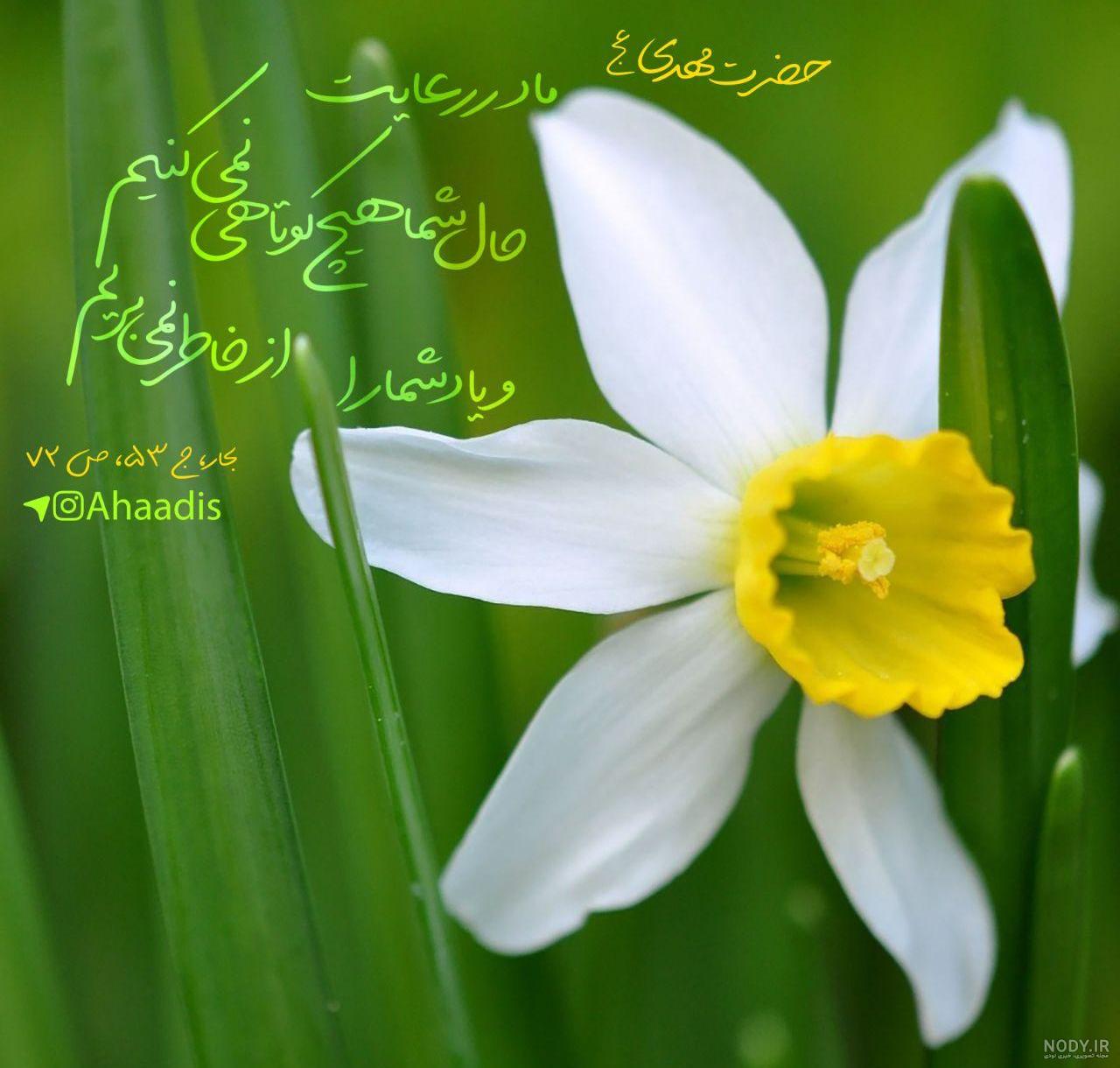 دانلود والپیپر و پوستر دعای اللهم عجل لولیک الفرج