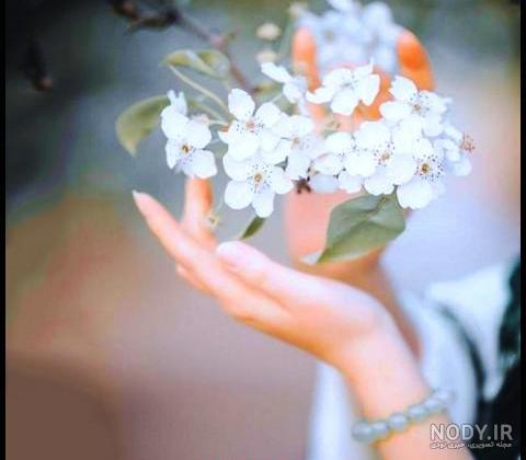 عکس دختر گل در دست برای پروفایل - عکس نودی