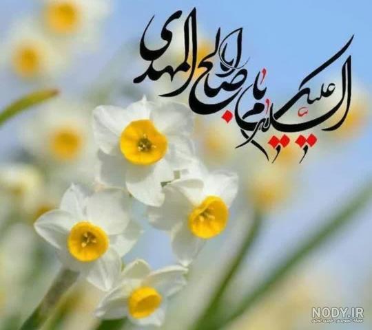 عکس پروفایل اللهم عجل لولیک الفرج با گل نرگس