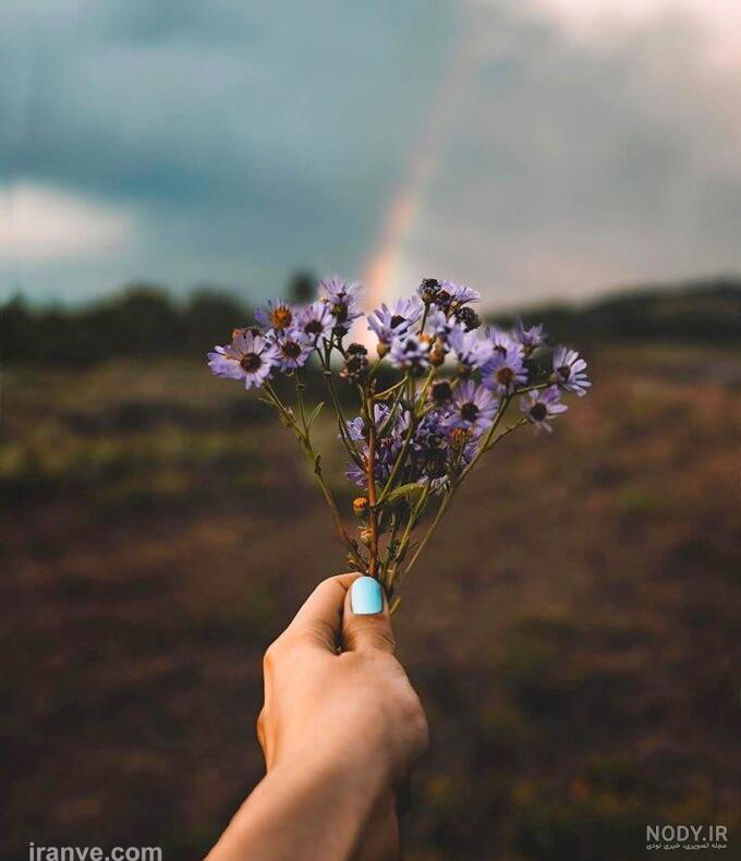 عکس گل رز در دست دختر برای پروفایل