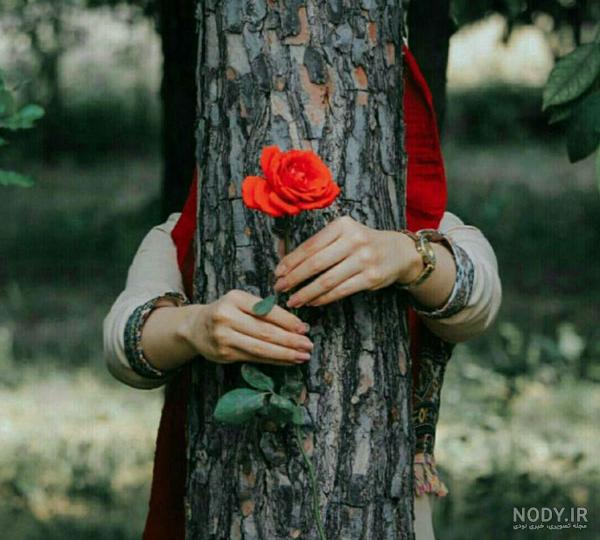 عکس گل زیبا در دست دختر برای پروفایل - عکس نودی عکس گل زیبا در دست دختر برای پروفایل - عکس نودی