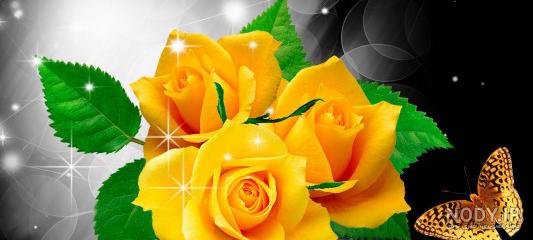 عکس گل 1403 | عکس گل بسیار زیبا برای پروفایل شاد | عکس گل برای پروفایل عکس گل 1403 | عکس گل بسیار زیبا برای پروفایل شاد | عکس گل برای پروفایل