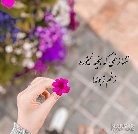 استوری عکس گل زیبا