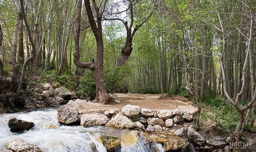 عکس از پیرغار