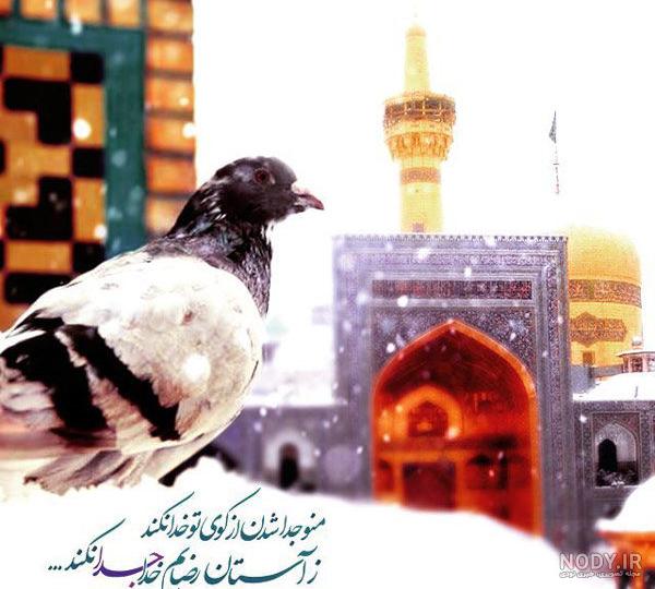 عکس های حرم امام رضا / بهترین تصاویر حرم امام رضا [پیشنهادی] | تاوعکس