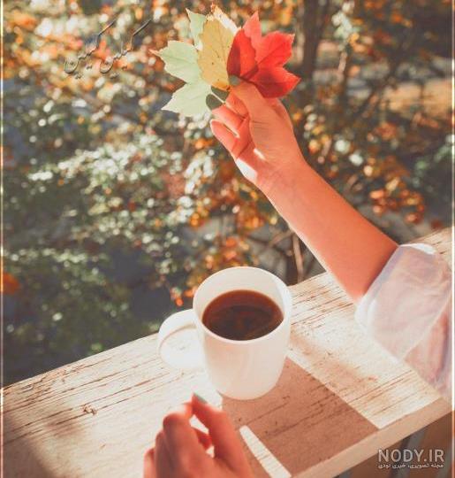 عکس صبح بخیر استوری