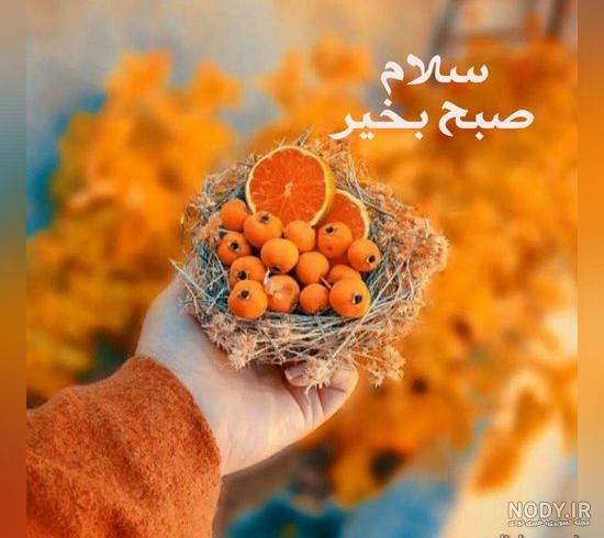 عکس صبح بخیر زمستانی برای استوری عکس صبح بخیر زمستانی برای استوری
