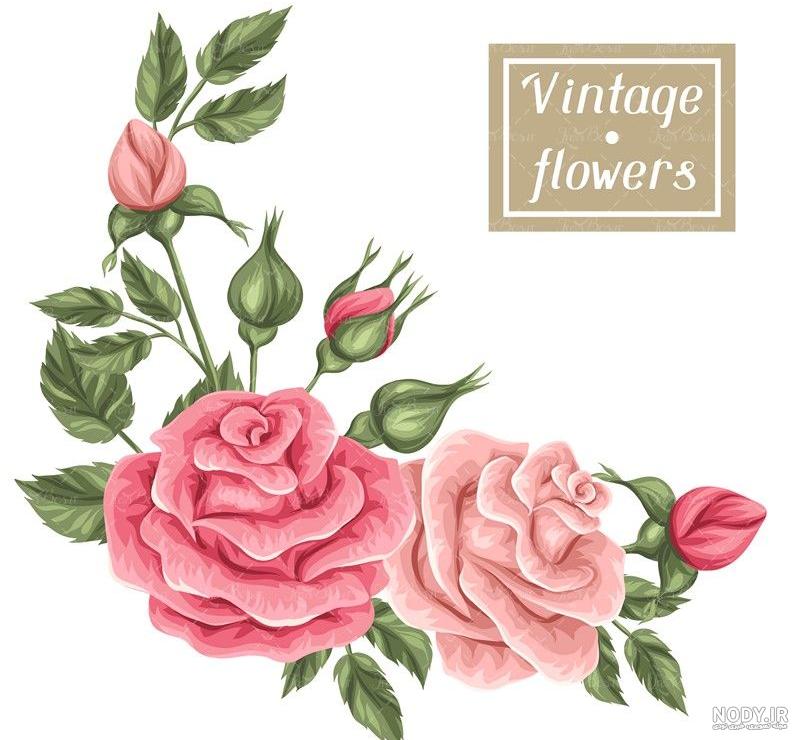 عکس منظره گل محمدی - عکس نودی عکس منظره گل محمدی - عکس نودی