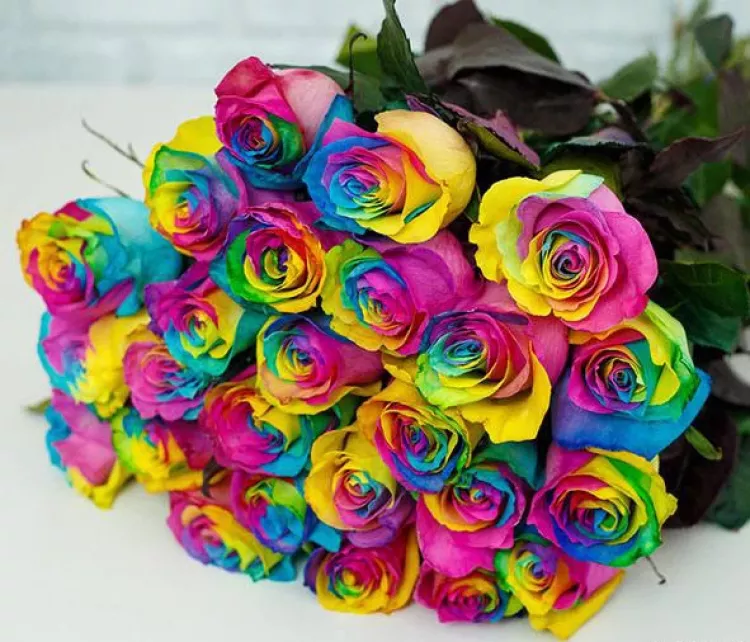 عکس گل محمدی برای پروفایل واتساپ عکس گل محمدی برای پروفایل واتساپ