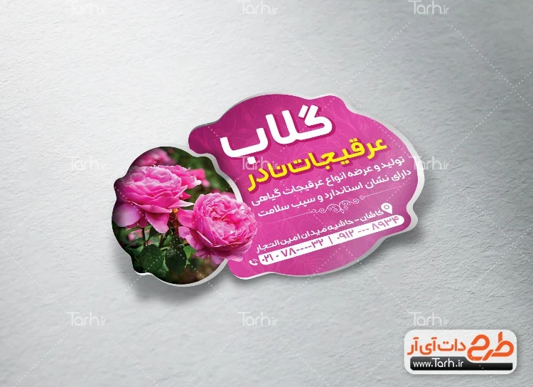 عکس یحیی گل محمدی – مهین فال عکس یحیی گل محمدی – مهین فال