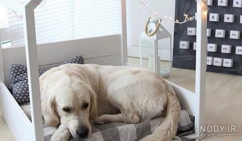 راهنمای خرید و ساخت خانه سگ چوبی + لیست قیمت ها نو و دسته دو - Happypet