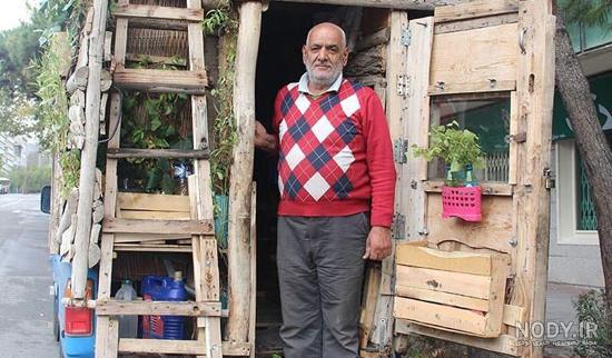 عجیب ترین خانه های درختی جهان در کدام کشورها قرار دارند؟ - خبرآنلاین