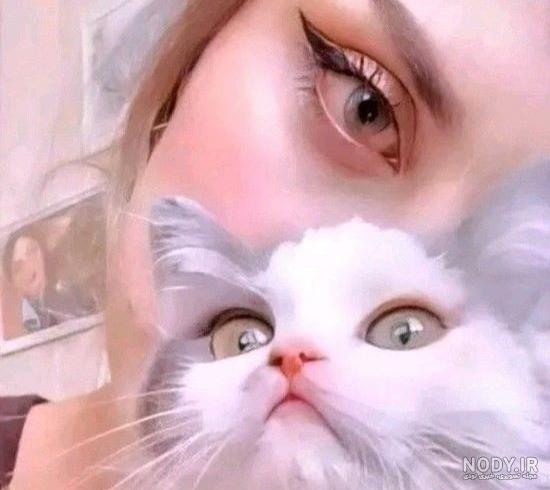 استوری فیک گربه استوری فیک گربه