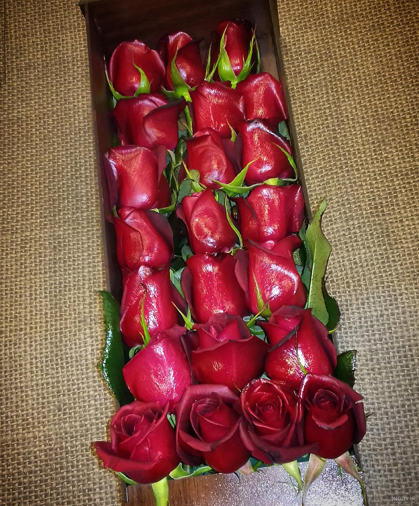 عکس استوری دسته گل - مجله نورگرام عکس استوری دسته گل - مجله نورگرام