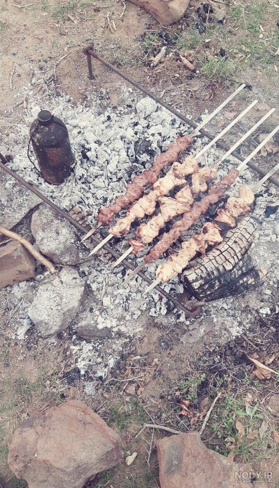 عکس کباب کوبیده و جوجه عکس کباب کوبیده و جوجه