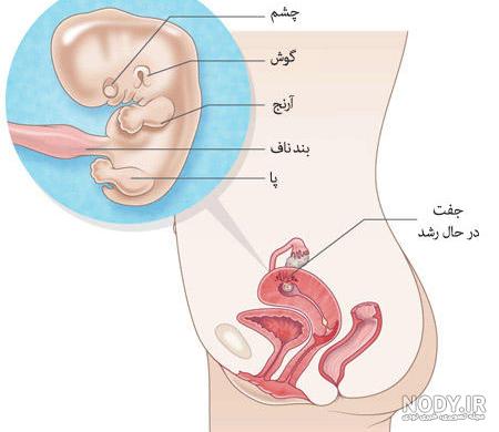 23 عکس پروفایل بارداری دختر و پسر؛ عکس نوشته و متن زیبا بارداری 23 عکس پروفایل بارداری دختر و پسر؛ عکس نوشته و متن زیبا بارداری