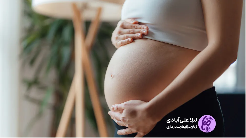 جنین دو ماهه کجای شکم قرار دارد | دانشنامه سیب