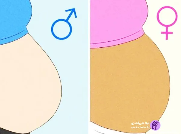 شکل شکم در بارداری - پینو بیبی