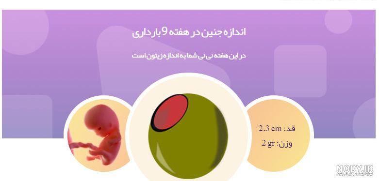 عکس ماه سوم بارداری