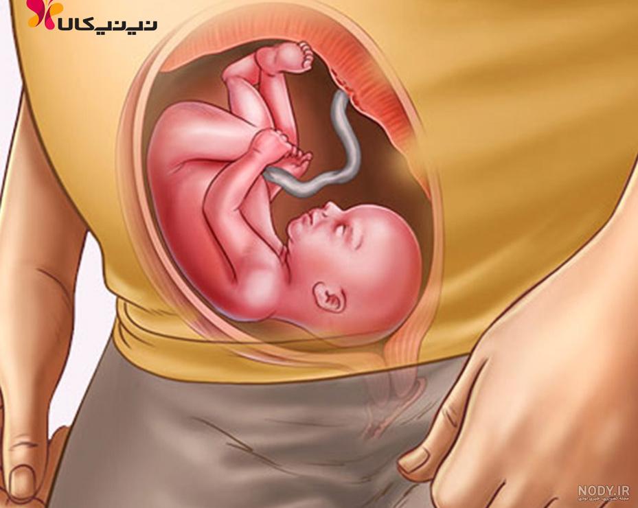 عکس پروفایل حاملگی بچه سوم عکس پروفایل حاملگی بچه سوم