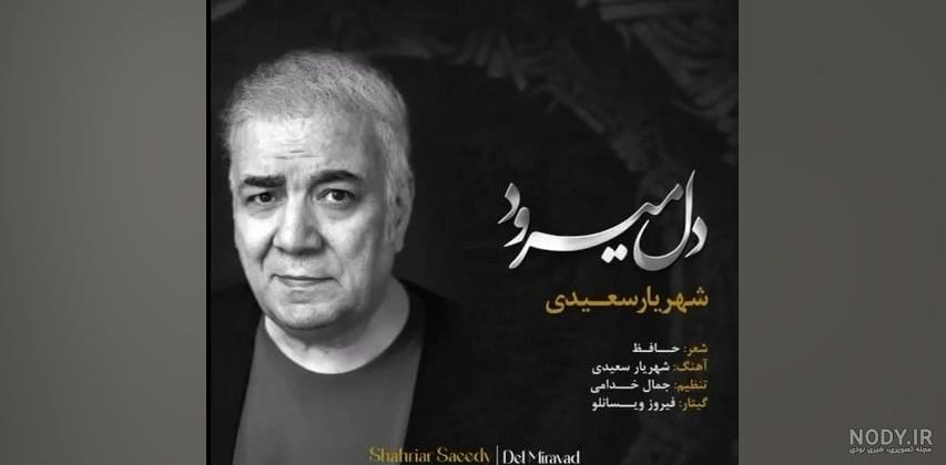 محمد سعيد رمضان البوطي