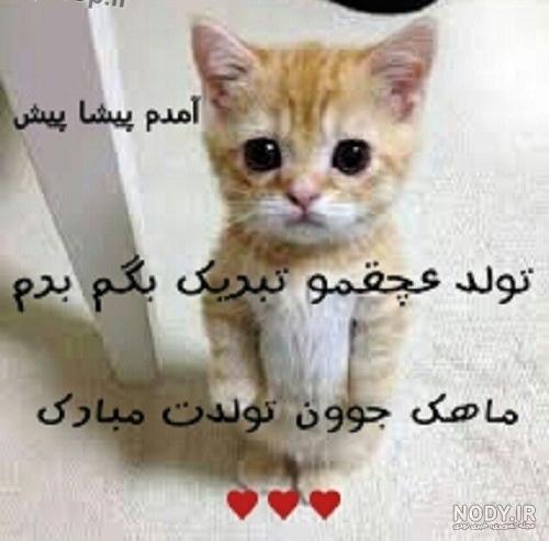 تبریک تولد خنده دار اینستاگرام