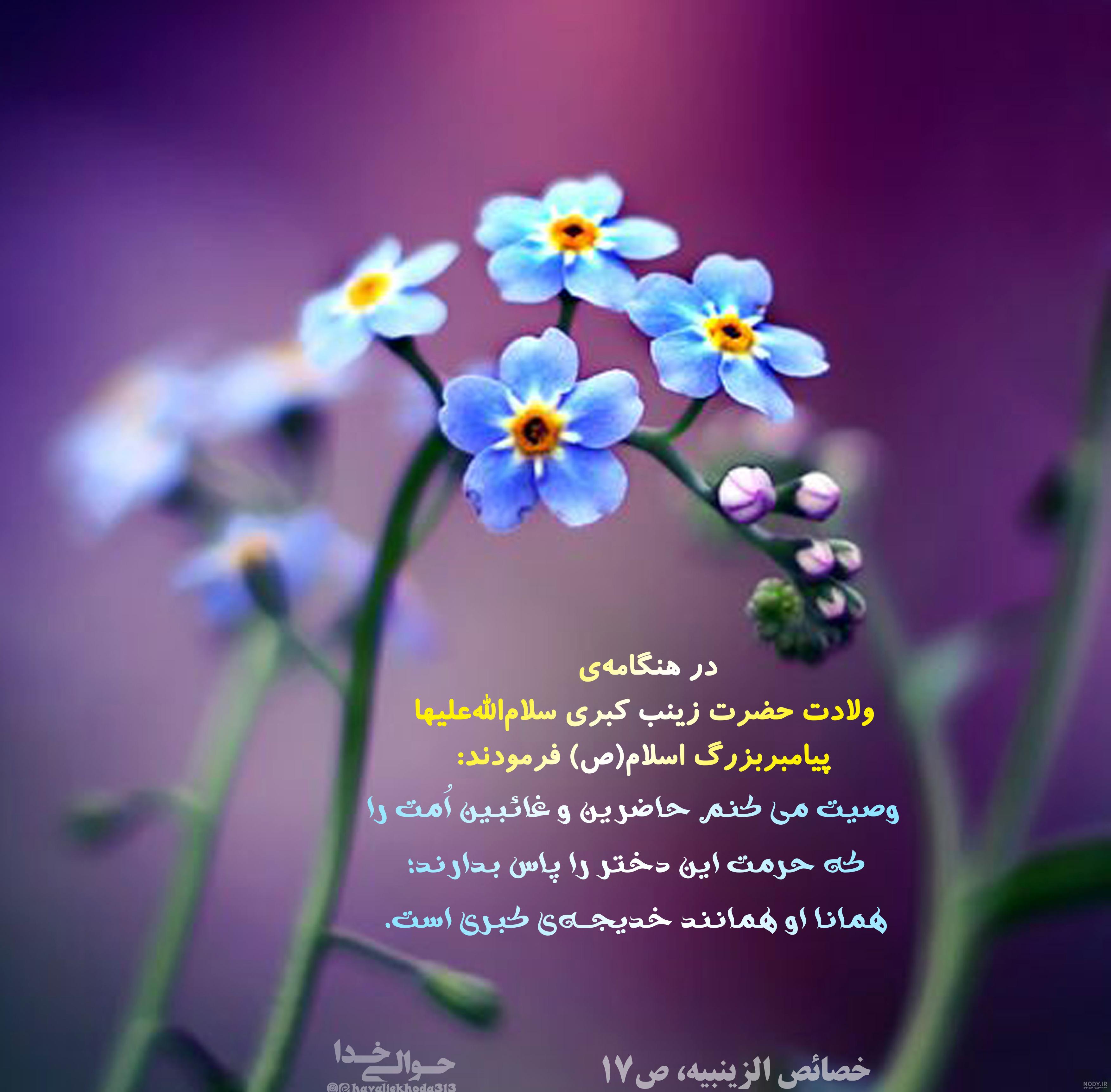 عکس ولادت حضرت زینب؛ عکس نوشته ولادت حضرت زینب - ستاره