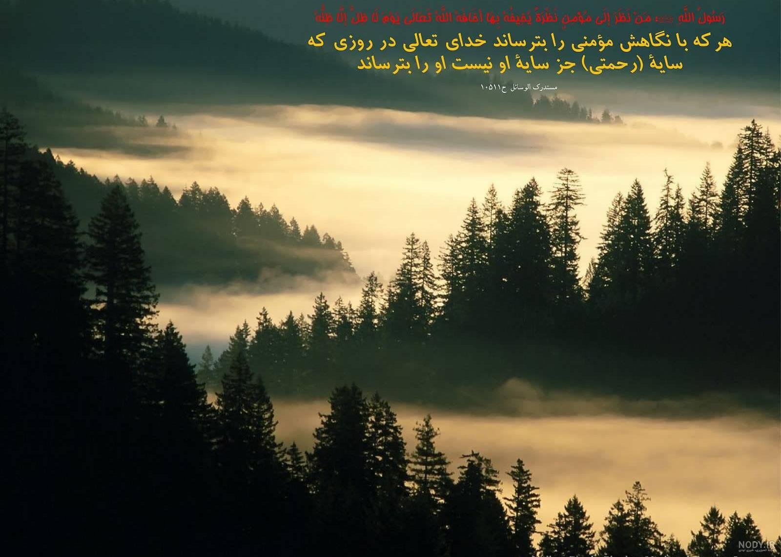 آلبوم عکس نوشته احادیث زیبا از امامان معصوم + متن حدیث - تــــــــوپ  تـــــــــاپ