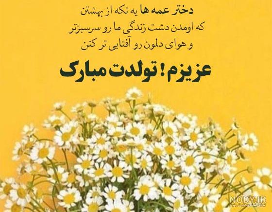 عکس تولدت مبارک عمه