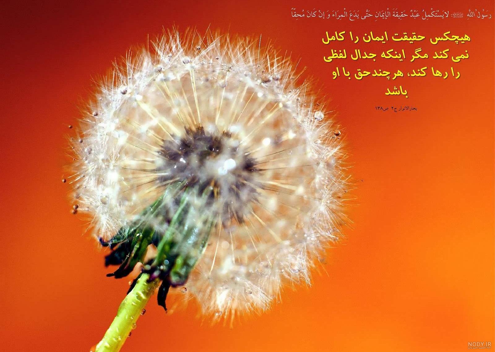 عکس نوشته احادیث پیامبر - عکس نودی