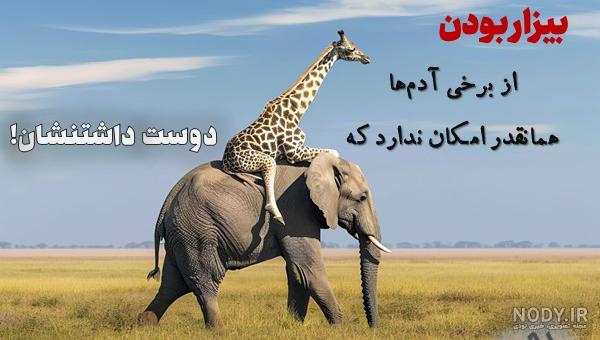 عکس نوشته های فلسفی و عاشقانه بسیار زیبا و جالب عکس نوشته های فلسفی و عاشقانه بسیار زیبا و جالب
