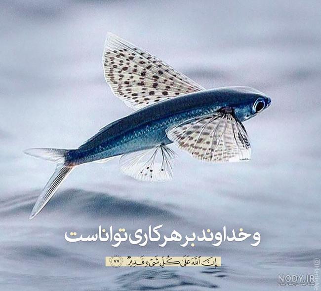 عکس نوشته های قرآنی | عکس نوشته های قرآنی عکس نوشته های قرآنی | عکس نوشته های قرآنی