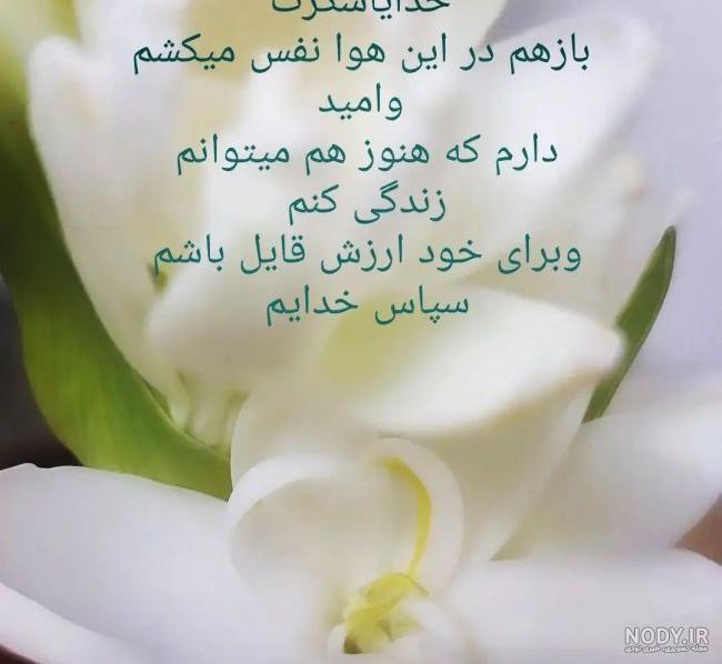 متن پروفایل خدایا شکرت + عکس نوشته سپاسگزاری از خداوند - تبریکده متن پروفایل خدایا شکرت + عکس نوشته سپاسگزاری از خداوند - تبریکده
