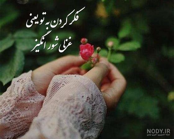 خرچنگ‌های مردابی با شعر محمدعلی بهمنی و صدای حبیب