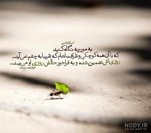 عکس نوشته عدالت علی