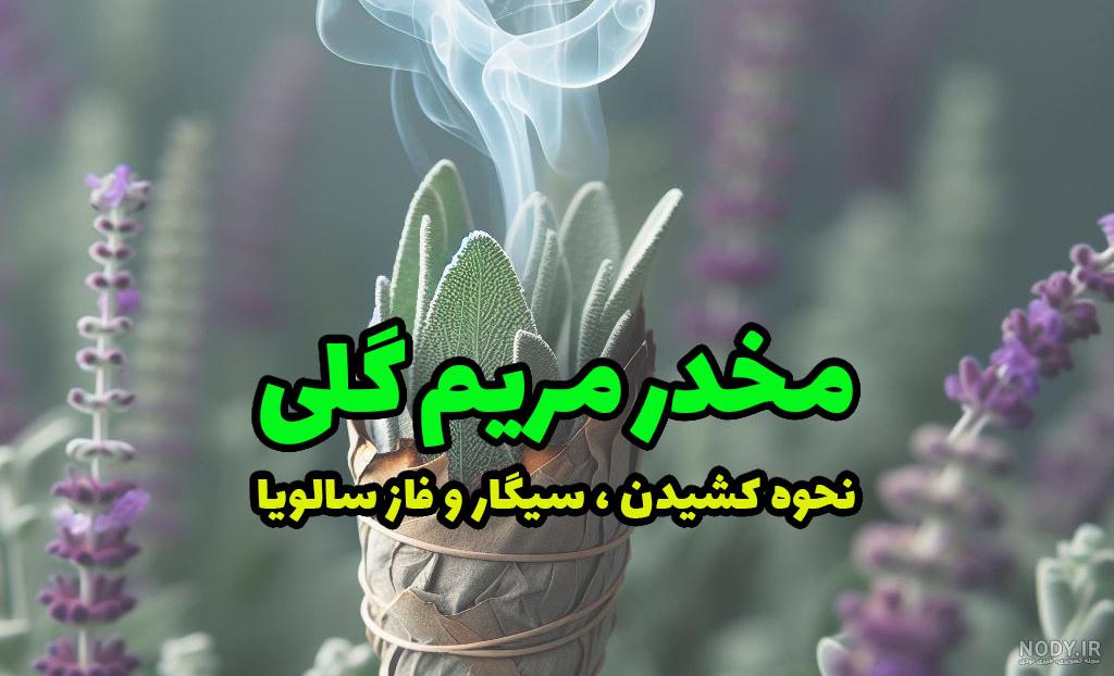 عکس داروی گیاهی مریم گلی عکس داروی گیاهی مریم گلی