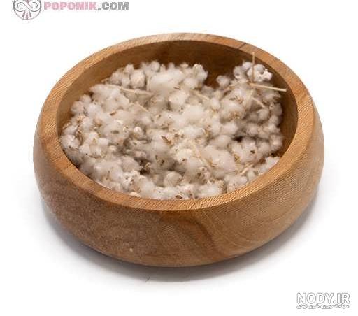 قیمت و خرید کلپوره (مریم نخودی) بسته 50 گرمی درجه یک قیمت و خرید کلپوره (مریم نخودی) بسته 50 گرمی درجه یک