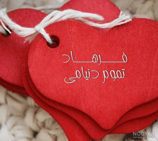 فاطمه گودرزی همیار پلیس می شود+ عکس فاطمه گودرزی همیار پلیس می شود+ عکس