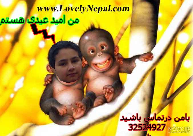 عکس ابوالفضل ذوالفقاری - عکس نودی عکس ابوالفضل ذوالفقاری - عکس نودی