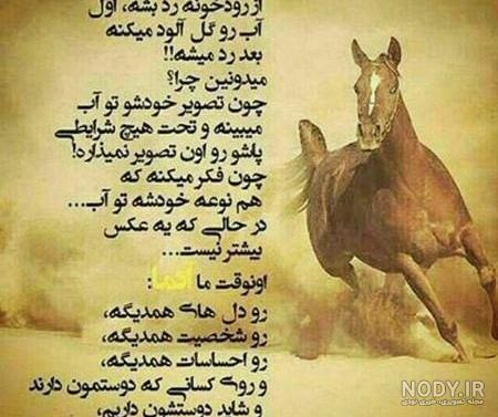 عکس امید دهنده - عکس نودی عکس امید دهنده - عکس نودی