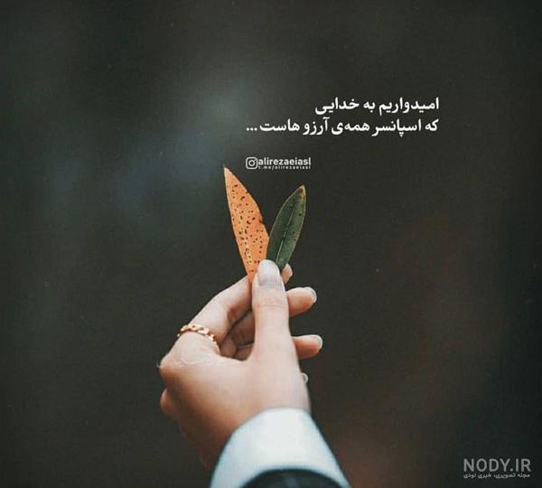 عکس امیدبخش عکس امیدبخش