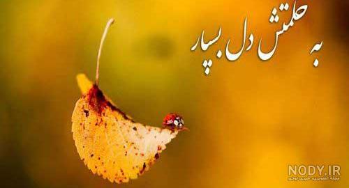 عکس درباره امید داشتن عکس درباره امید داشتن