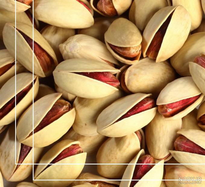 قیمت پسته احمد آقایی در بزرگترین مرکز خرید پسته ایران در تهران - بازرگانی همتا قیمت پسته احمد آقایی در بزرگترین مرکز خرید پسته ایران در تهران - بازرگانی همتا