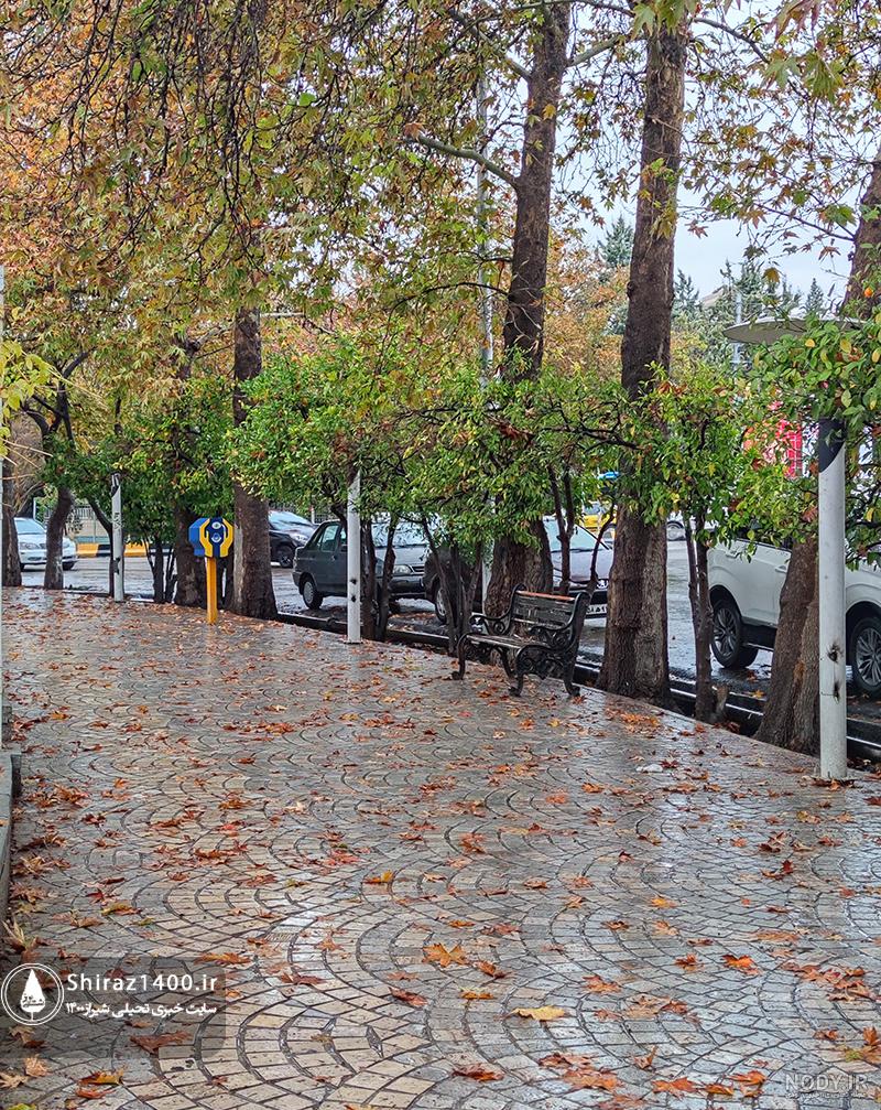 آخرین خبر | عکس/ بارش باران سیل آسای بهاری در شیراز آخرین خبر | عکس/ بارش باران سیل آسای بهاری در شیراز