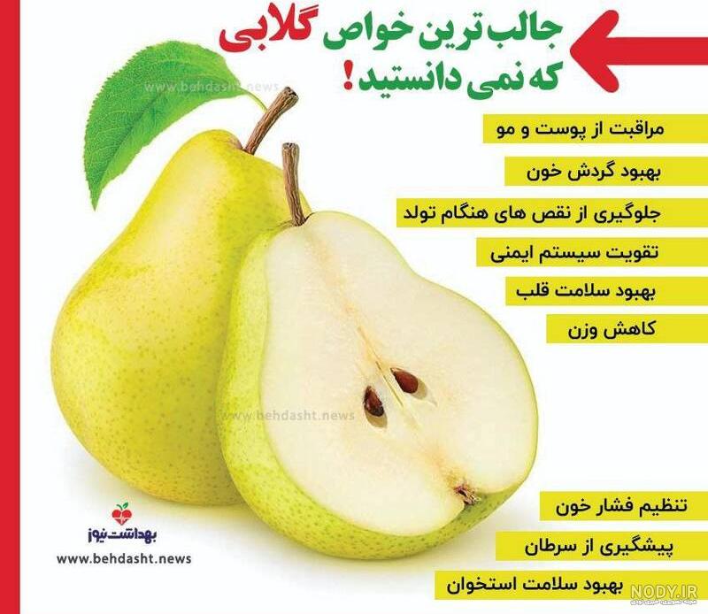 انیمیشن گلابی بزرگ دوبله فارسی انیمیشن گلابی بزرگ دوبله فارسی