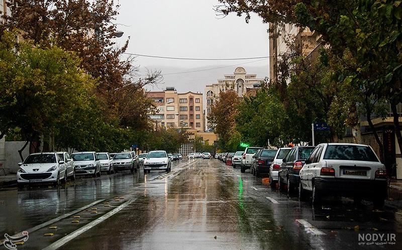 بارش باران در شیراز- عکس استانها تسنیم | Tasnim بارش باران در شیراز- عکس استانها تسنیم | Tasnim
